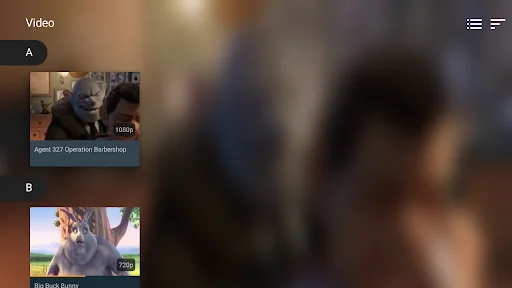 VLC for Android ডাউনলোড করুন – সেরা ফ্রি মিডিয়া প্লেয়ার - Screenshot 26