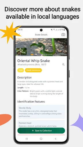 Snake Identifier ডাউনলোড করুন – সাপের নাম ও তথ্য জানুন - Screenshot 2
