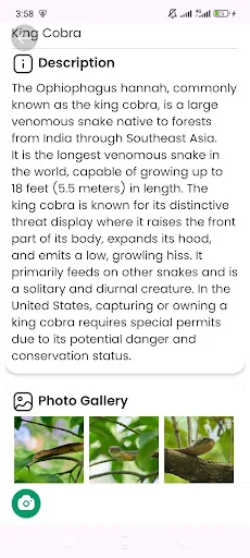 Snake Identifier ডাউনলোড করুন – সাপের নাম ও তথ্য জানুন - Screenshot 8