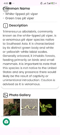 Snake Identifier ডাউনলোড করুন – সাপের নাম ও তথ্য জানুন - Screenshot 10
